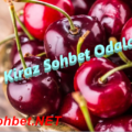 Star Sohbet