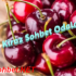 Star Sohbet